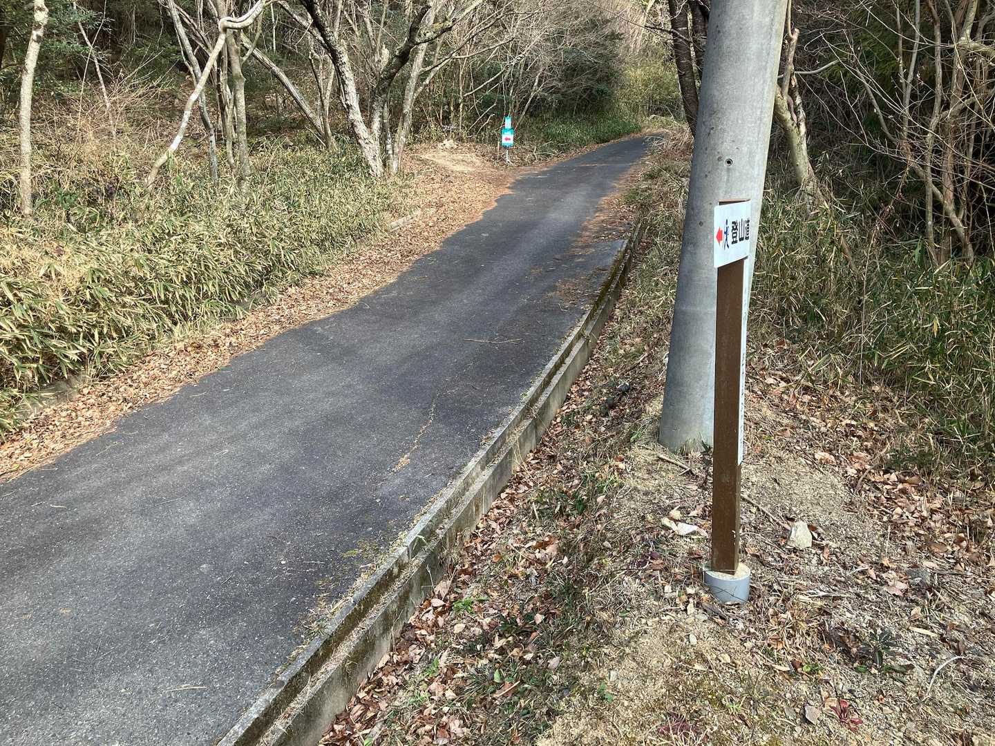 いつも真っ暗スタートなんでアスファルト道で登ってますが