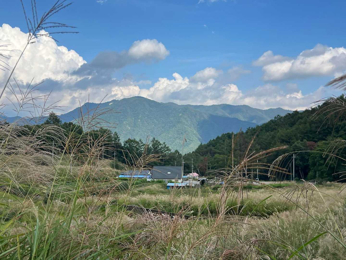 倉掛山