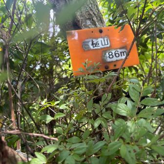石槌山登頂！ロープで囲われてます。