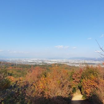 展望台からの景色