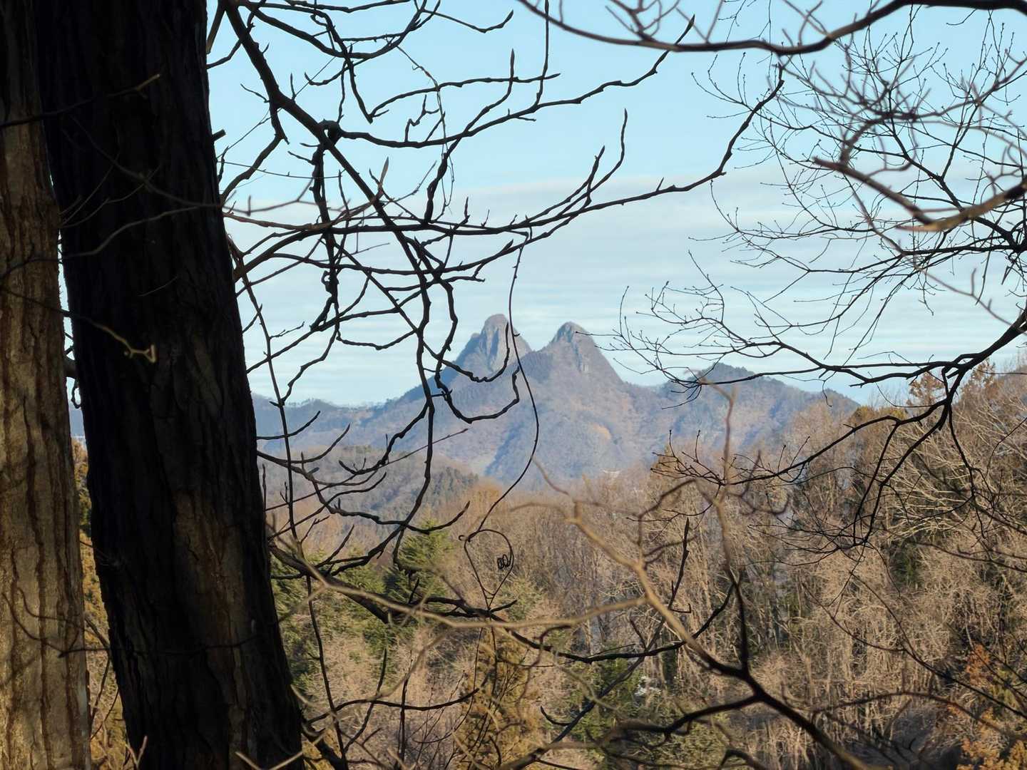 悪そうなお山を発見！