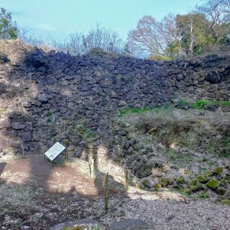 谷の斜面を石垣で遮蔽し、湧水を貯めた巨大なため池です。