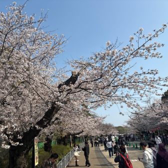 みんな笑顔でパチリンコ📸でした
大仏山と摺鉢山をゲットして上野駅で終了