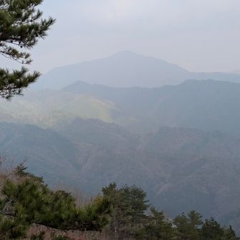 分かりやすい青野山
さぁお腹も満たしたし山頂行きますか