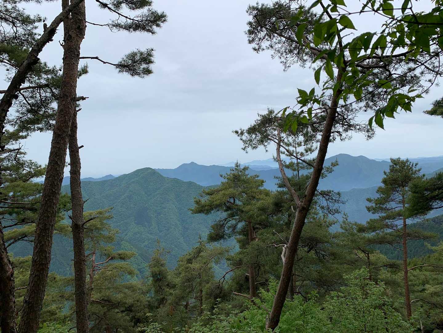 一番手前の山が川苔山
奥に大岳山