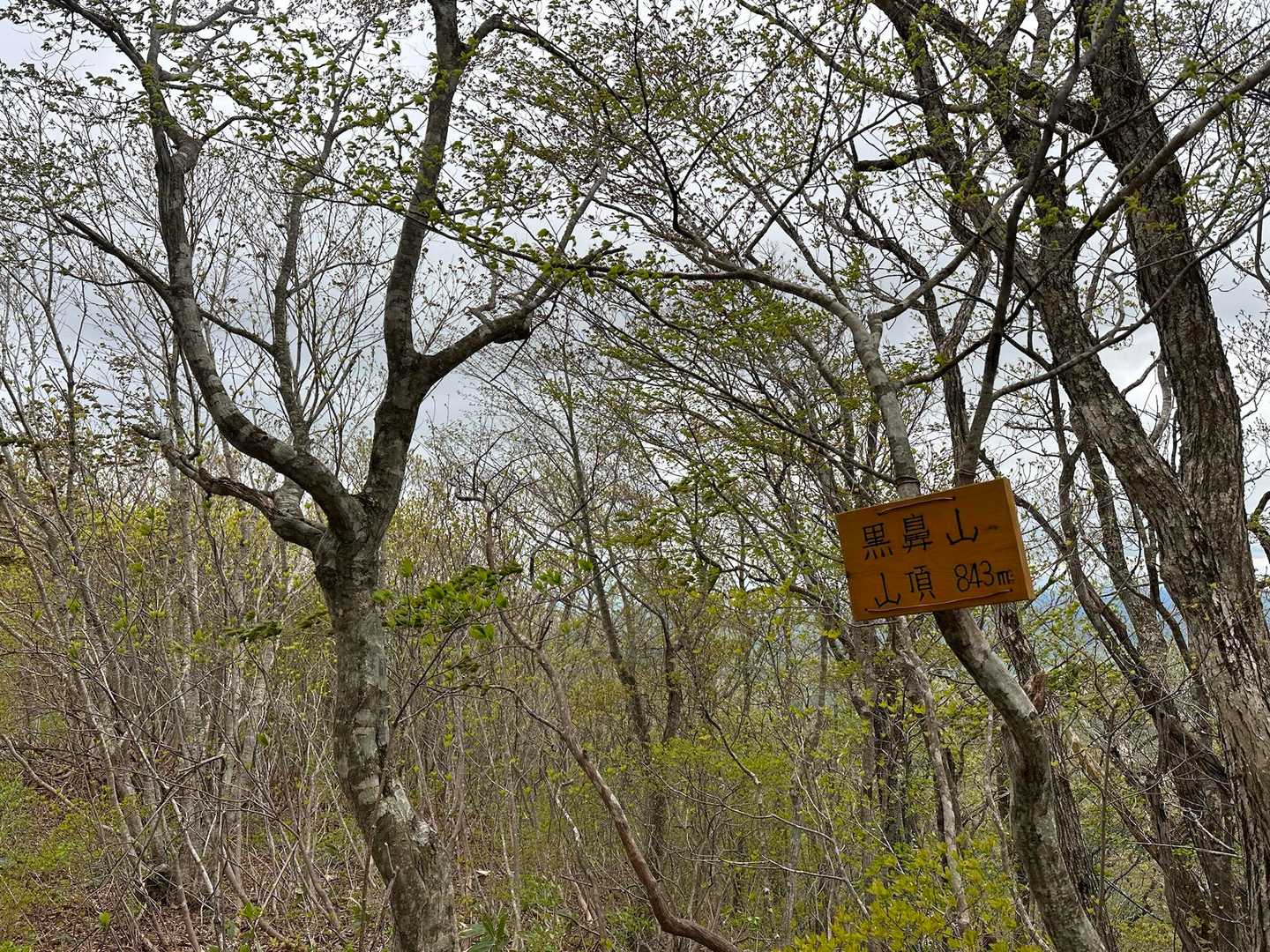 黒鼻山登山口-黒鼻山 往復コースの写真