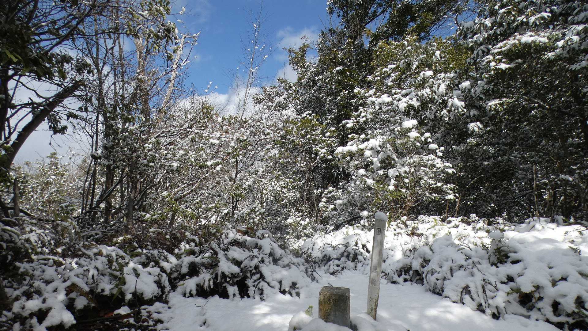 通りすがりに、押上山山頂
四等三角点
基準点名：押上山（おしあげやま）

押上山は採石場の私有地で立ち入り禁止の雰囲気あり、登山道も（たぶん）ない。（どこの山も所有者は必ずいますが）
入り口の道路も埋め立てゴミ処分場の私道。🈲
お勧めでない。
と、言いつつ、行っちゃってる・・・・

山頂の東側は崖があり、誤って踏み入らないようにロープが張られています。