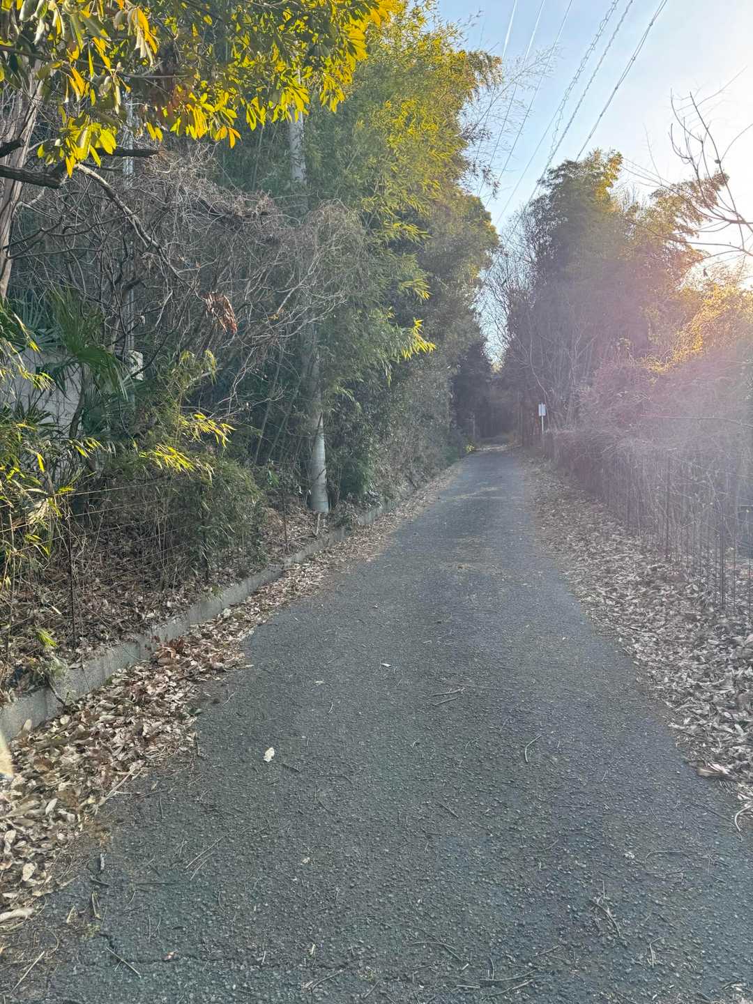 城山公園駐車場からスタート