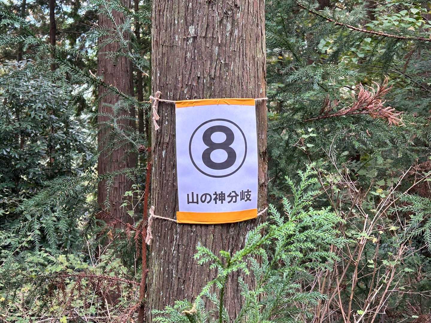 ⑧山の神分岐