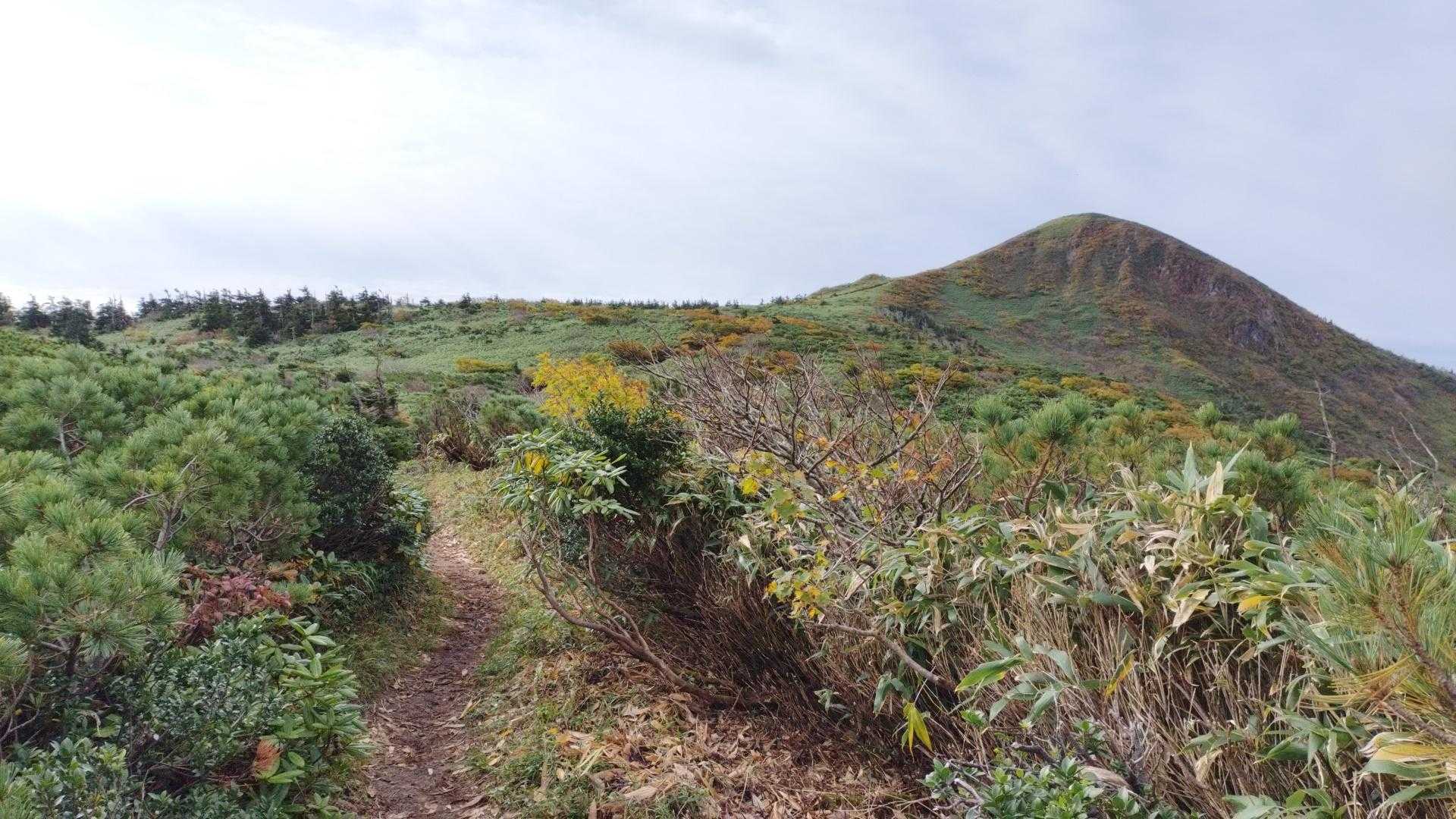 裏岩手連峰登山口-畚岳 往復コースの写真