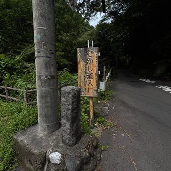 ここから沢沿いの道