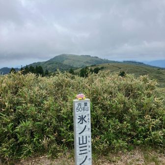 気持ちいい🥴