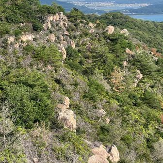 超低山の立石山だけどここから見ると
高度感あるなぁ