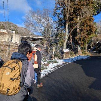 登山口までが野鳥の宝庫🐦️
