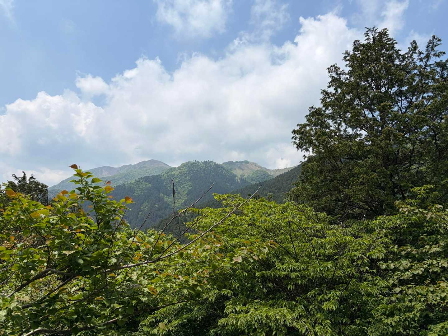 竜ヶ岳 往復コースの写真