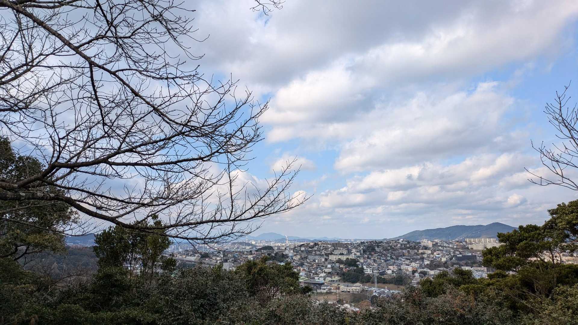 洞海湾方面🐟️🦐