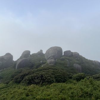 どんどんガスが〜、霧雨🌧️