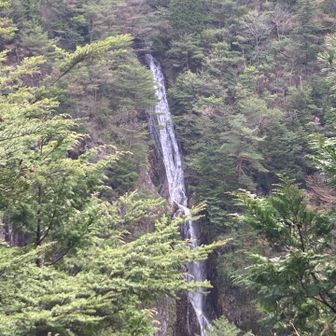 滝見台から
さっき下で見上げた滝は、半分でした
高い👀
