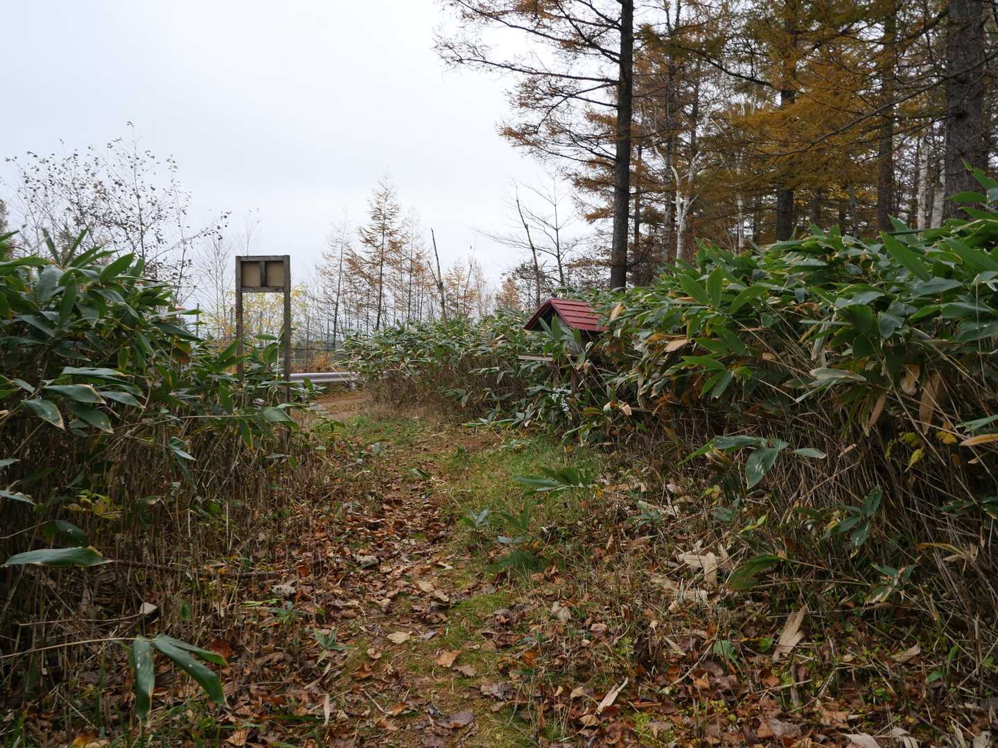 登山口に戻って来ました・・