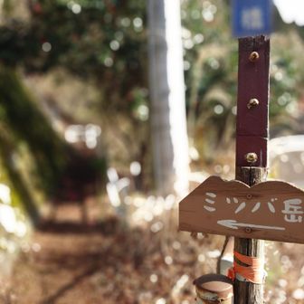 今年もミツバ岳
サクッと行って来ます