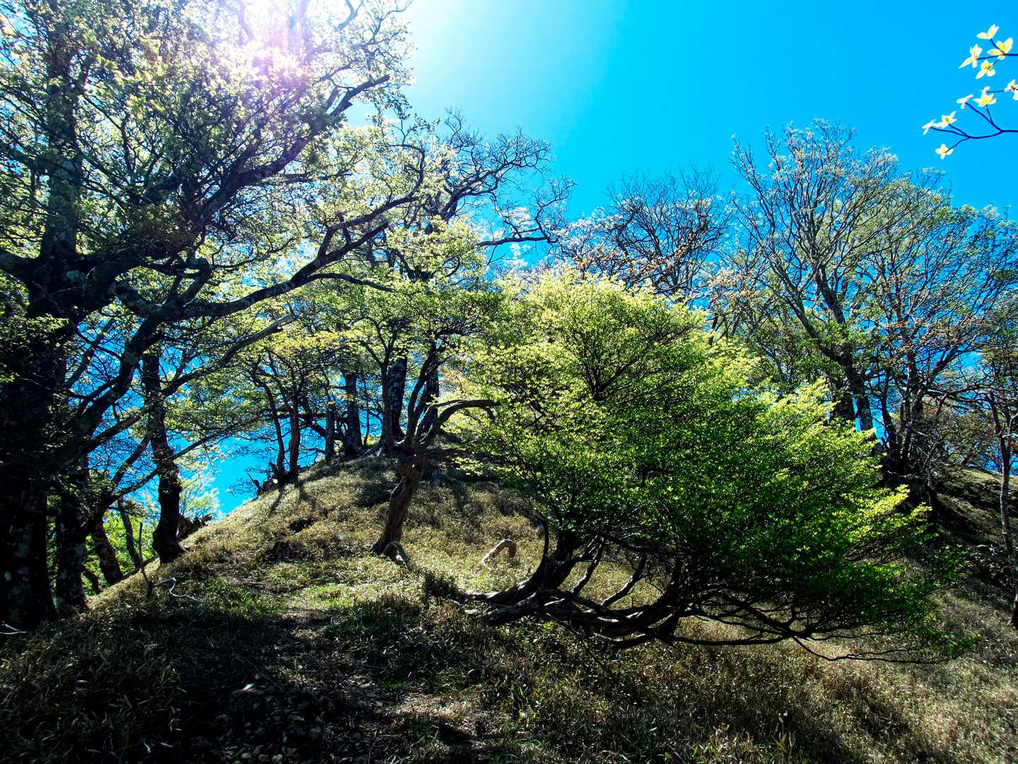 六角峠-高城山 周回コースの写真