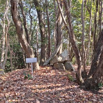 三ッ頭山頂、石積の祠のようなのがあります。