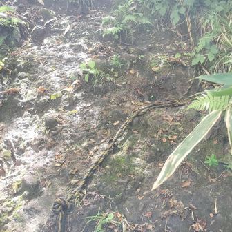 北岳山頂直下のロープ。足場が苔にまみれた岩なので滑る。
