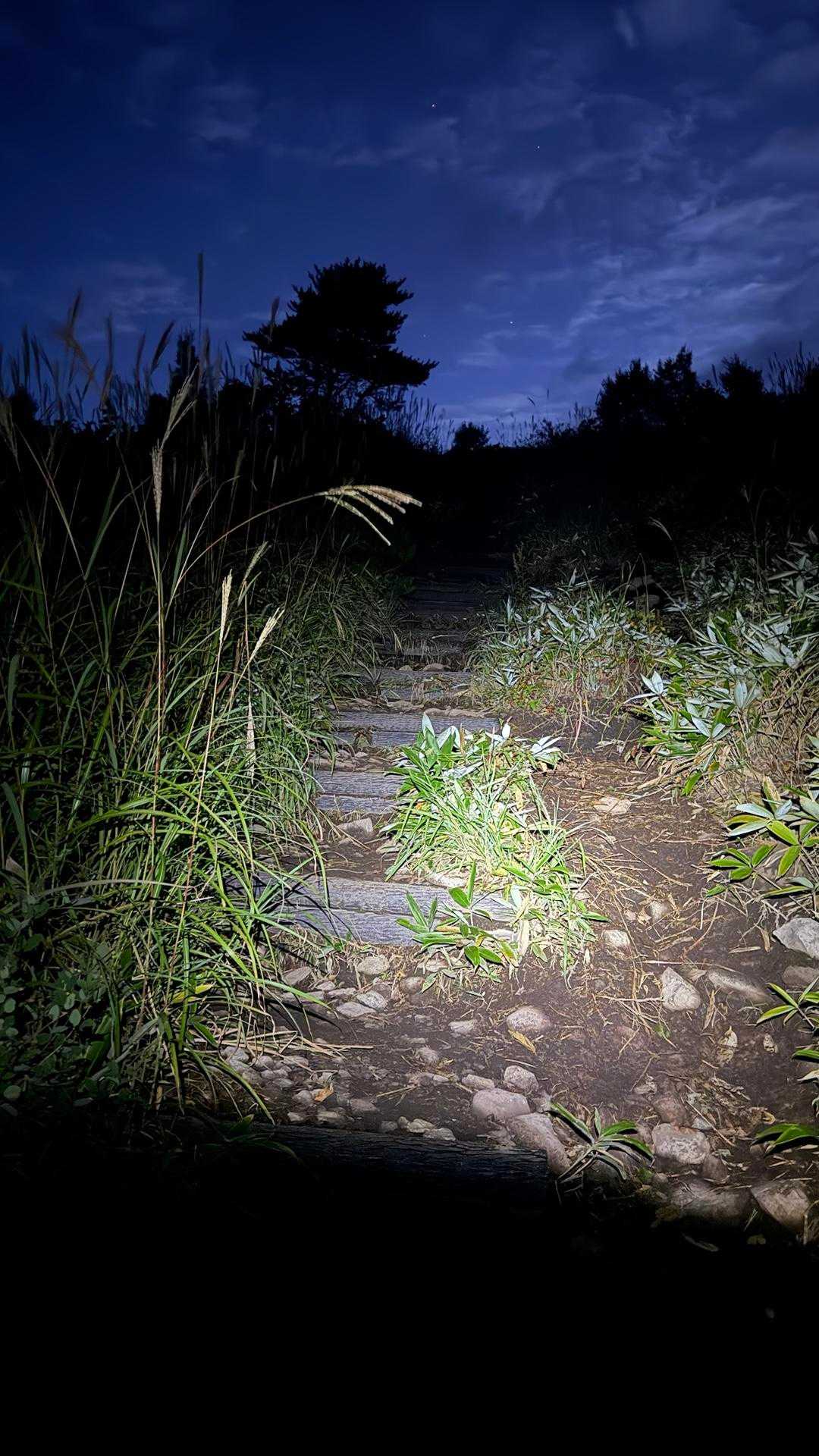 四阿山登山口-小四阿-中四阿 往復コースの写真
