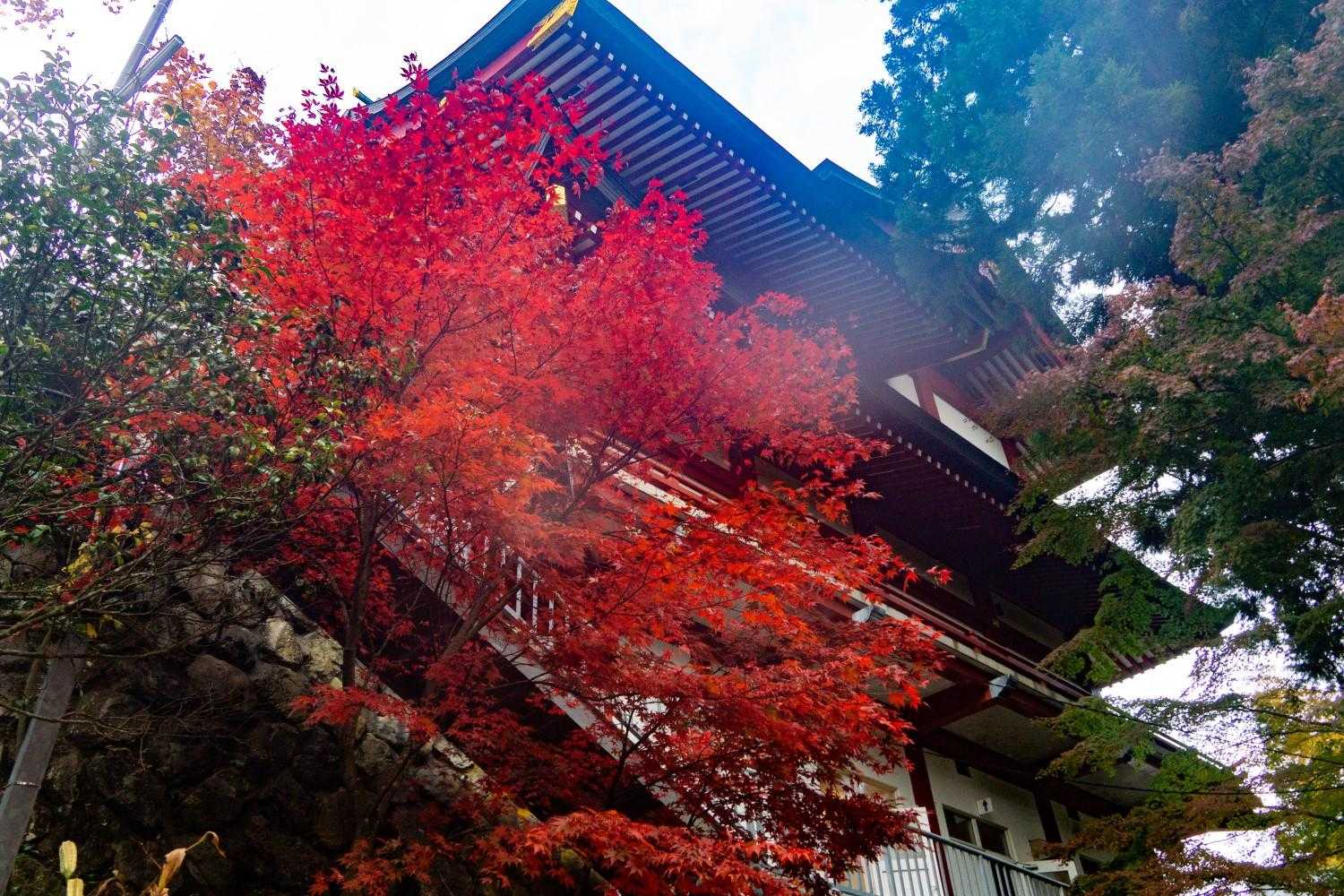 さあ、御岳神社につきましたよ。