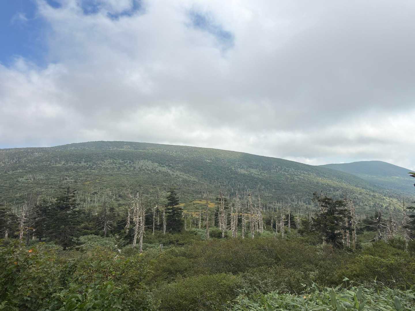 刈田峠-前山-杉ヶ峰-屏風岳 往復コースの写真