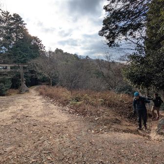 この辺りから膝が悲鳴をあげ始める