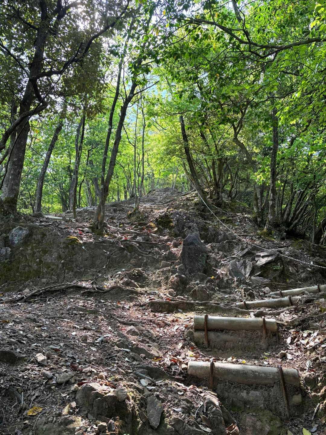 いよいよ登山⛰️
有子山の急登は有名
ここを毎日登山にすればかなり体力付くかもね〜🤔