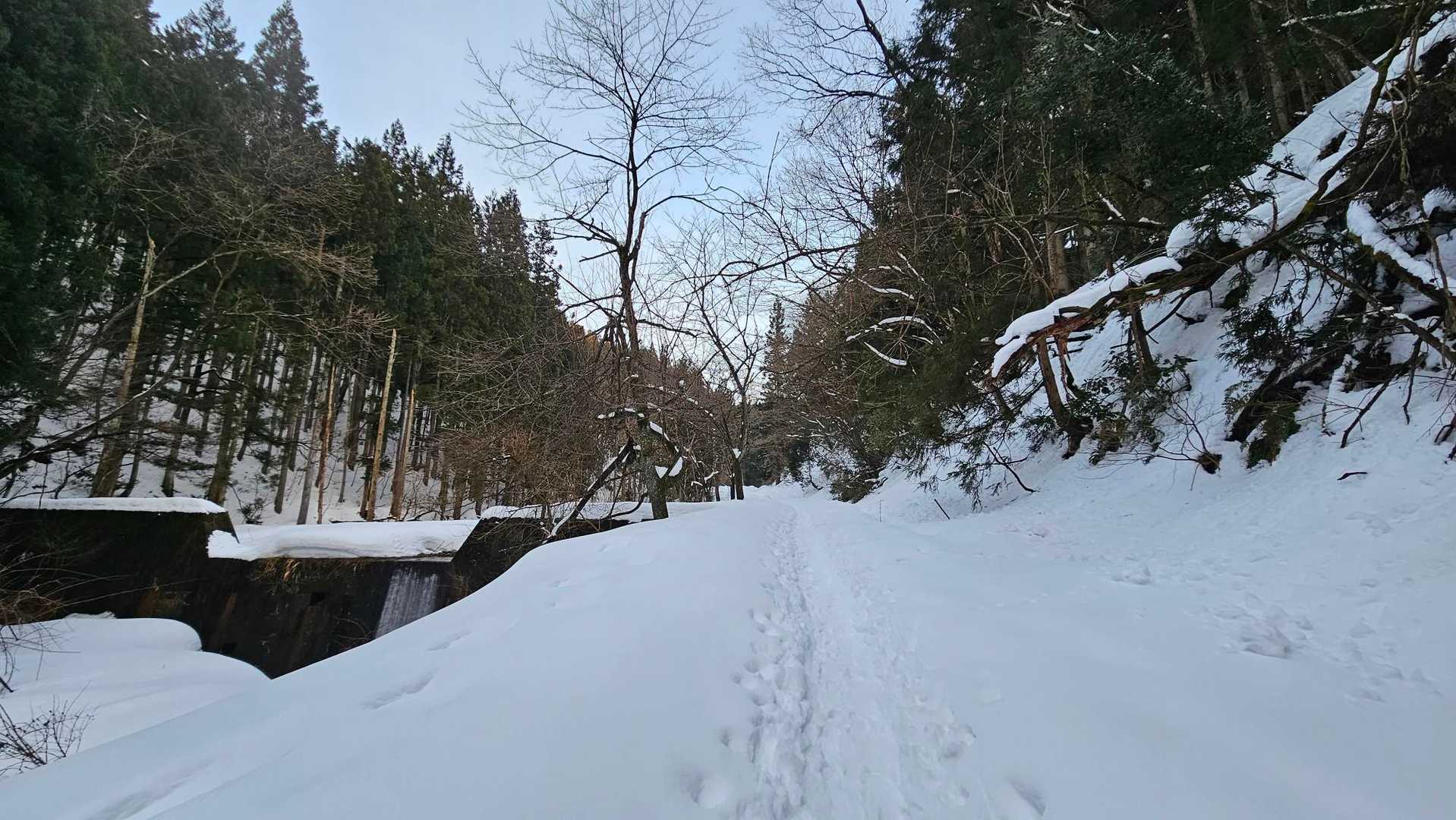 トレースありがたいです🙏✨
雪質が良くないので願文山コースではなく直接大峰山へ😊