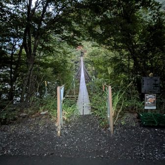 安定の寝坊から1時間ほど遅れてスタートし少し明るくなってしまった。
無風でも橋の中央部分は結構揺れる💦