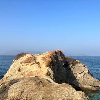 着いた長崎の鼻🐘