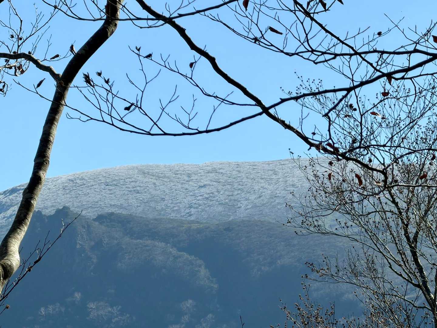 山頂部は、霧氷❄️