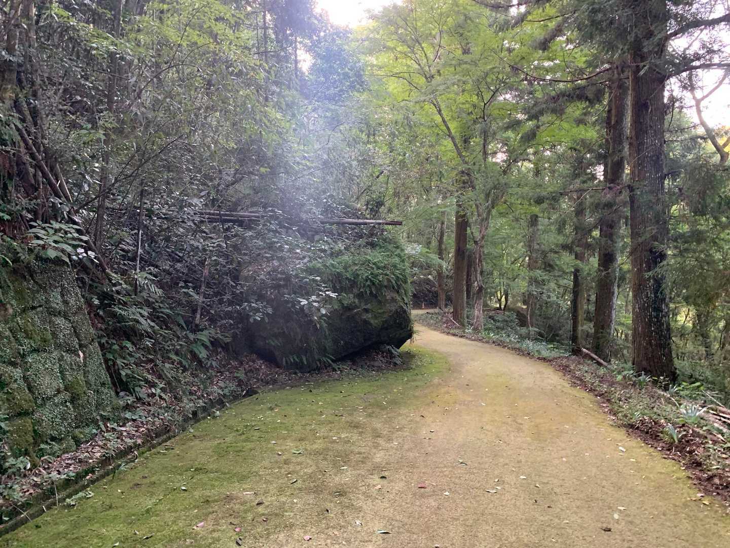 梟ヶ城址展望台 周回コースの写真