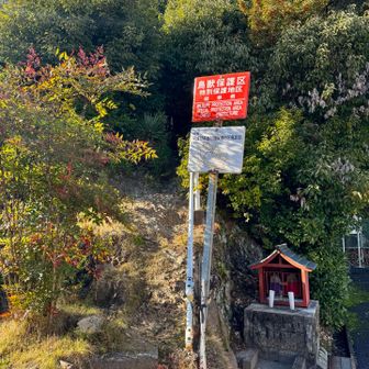 道路に出て、山王山・松尾山へ