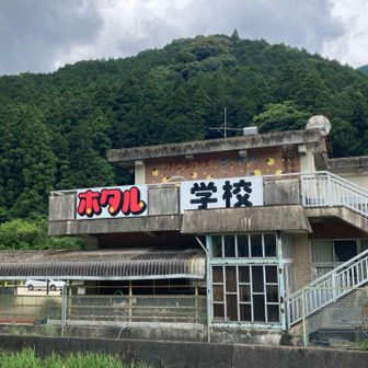 生き物展示があります。無料
夜にはホタルが見えるはず🤩