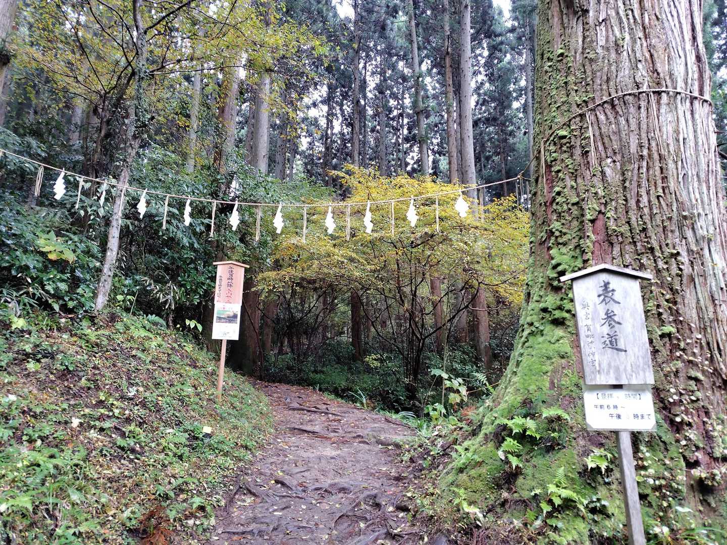 入山に際しての注意点をきちんと読んでいなかったため、小雨の中入山してしまいました‥😞