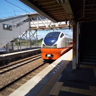 フェリープロテイン