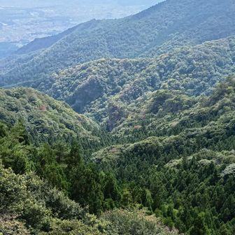 往路、屏風岩から獅子岩へ。
展望岩から、屏風岩。