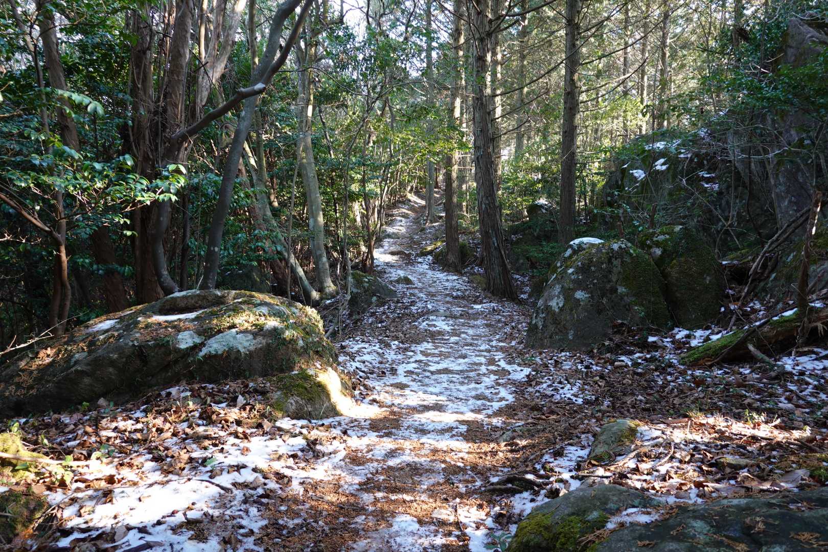 北峰から上は雪もちょびっとだけ残ってた☃️