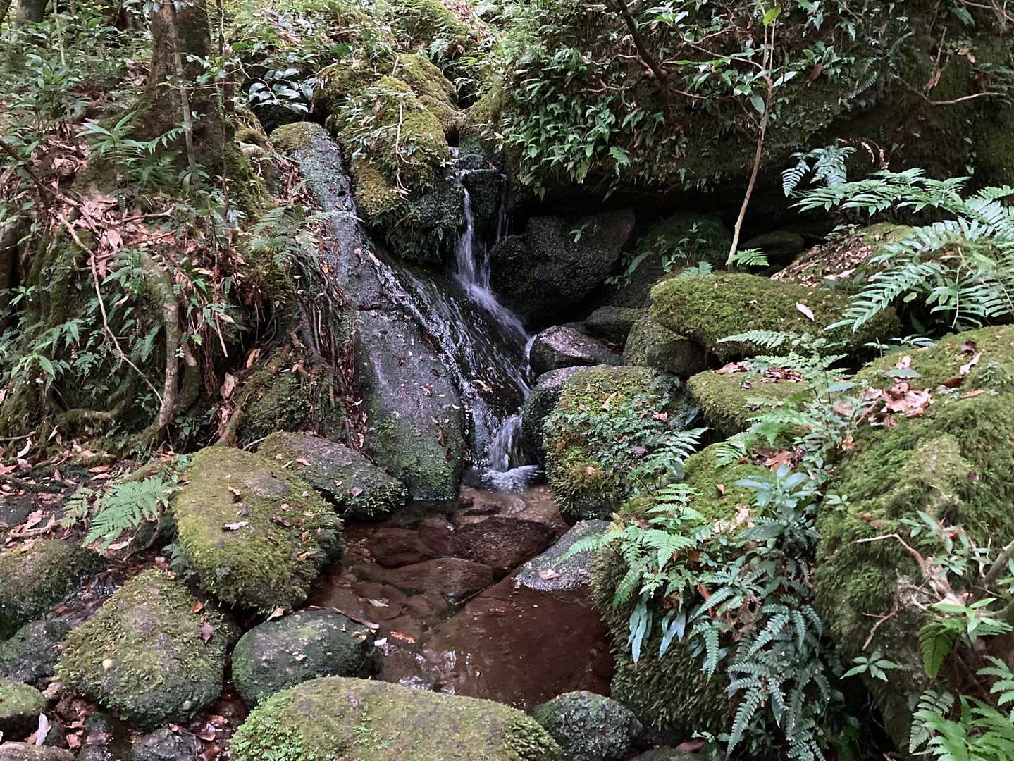 水場💧がある
夏は水が不足になりがちなのでありがたいだろう😉