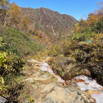 硫黄泉の川の脇を行くのも初めて。
スズメバチが飛んでるのでゆっくりもしてらんない…