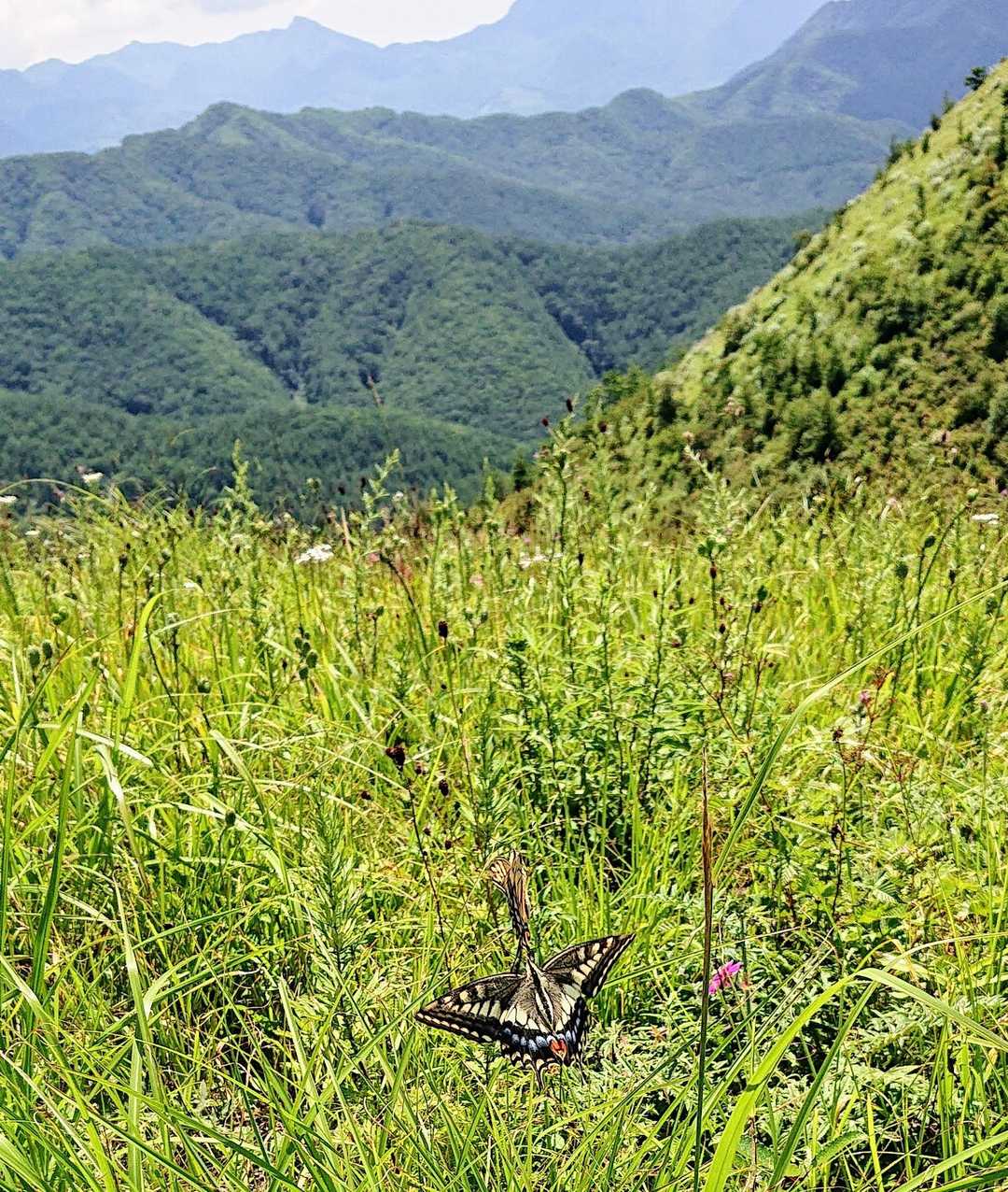 飯盛山-獅子岩飯盛山登山口-平沢峠 縦走コースの写真
