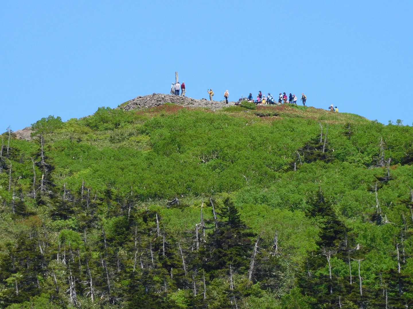 ゴンドラで手軽に天空の花畑へ。360度の絶景が迎える森吉山を往復の写真