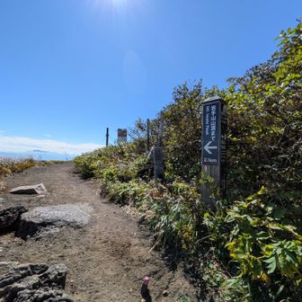 🪨だらけの急な勾配を登り切ったぞ〜😀　７合目到着山頂まで2.1km   (ここで新道と合流)