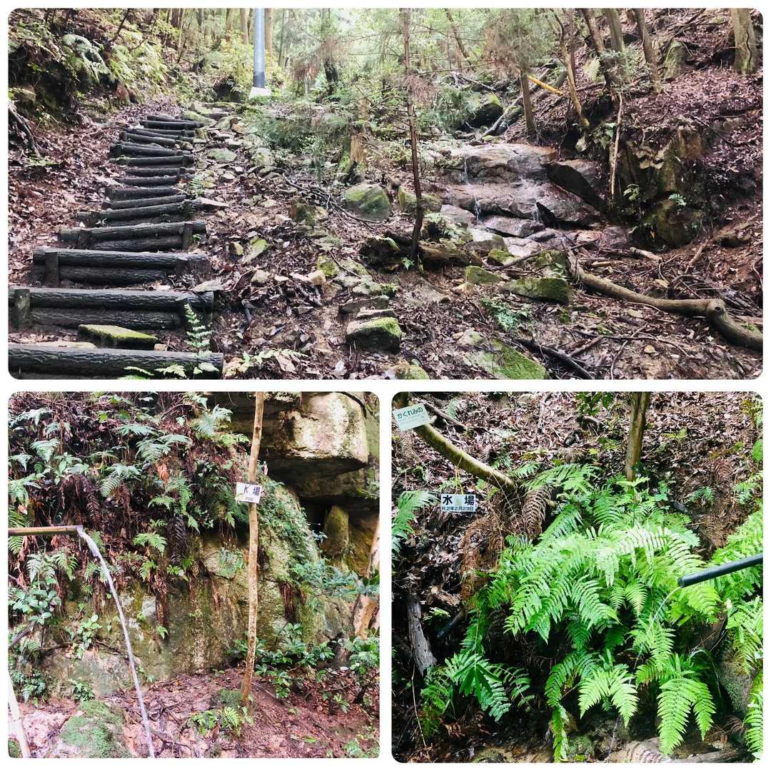 癒される小川沿いを歩きます🚶
この時期、水場は、湿度が高くメマトイ・虻が多いですが、台風一過なのか？少なく感じました🤔

