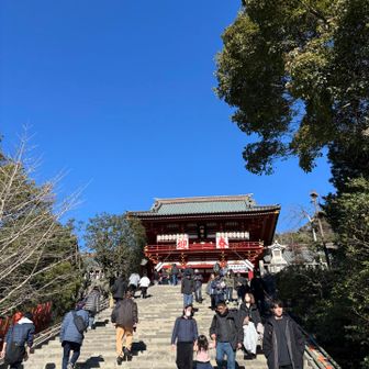 鶴岡八幡にもよりました